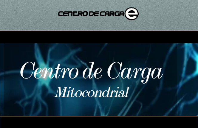 centro de carga
